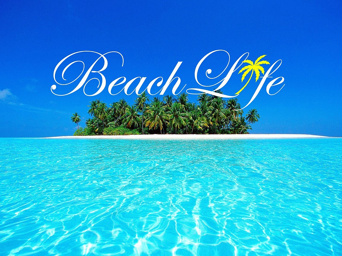 Life is beach. Life's a Beach. Beach Life logo.