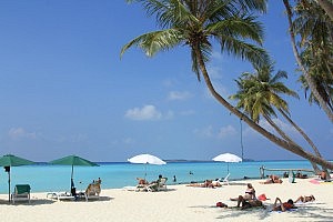 maldives beachlife tours