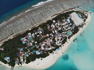 beachlife tours