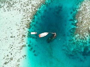 beachlife tours