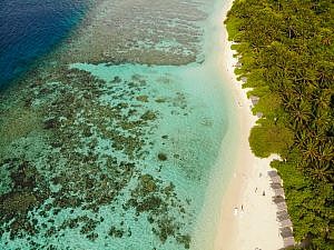 beachlife tours