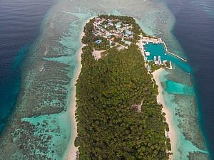 beachlife tours maldives