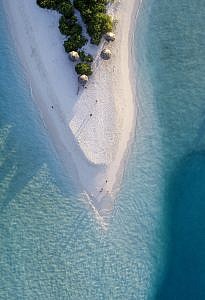 BeachLife Tours