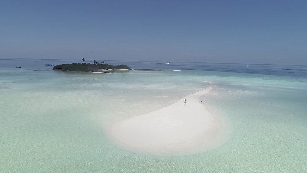 beachlife tours