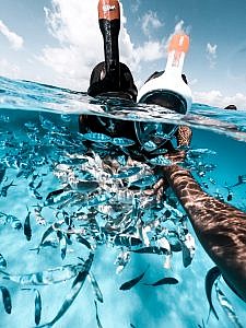 beachlife snorkel