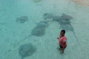 Fishes view on beach